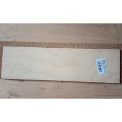 SPUGNA RICAMBIO PER FRATTAZZO CM 11X40 confezione da 10 pezzi