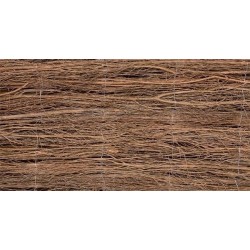 STUOIA ERIKA  STUOIA ERIKA