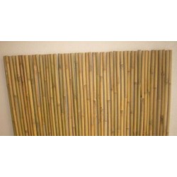 STUOIA CANNA BAMBOO  STUOIA CANNA BAMBOO