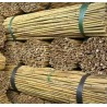 TERRICCIO ORGANICO PER PIANTE UNIVERSALE lt 10, 25, 50, 80
